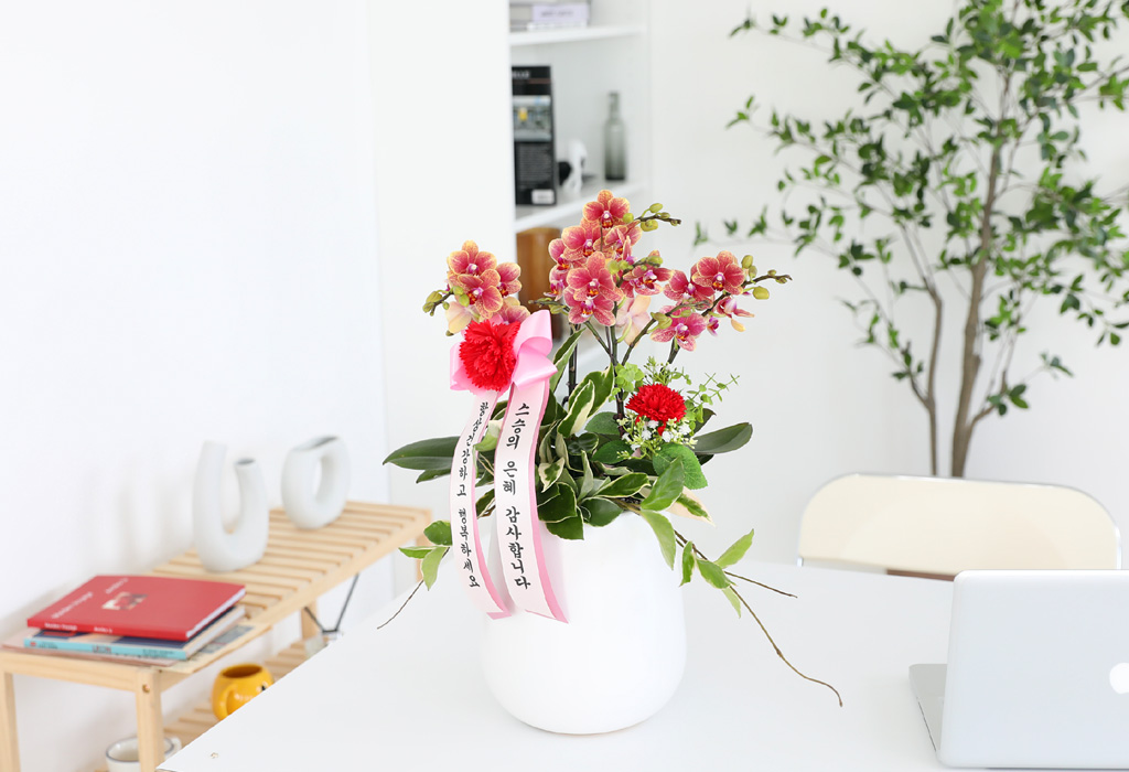 []ϴ   - ȣ  () (ȭ⺯)  ɹ