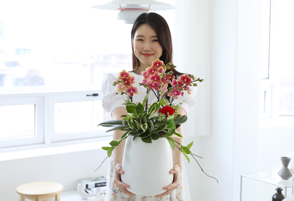 []ϴ   - ȣ  () (ȭ⺯)  ɹ