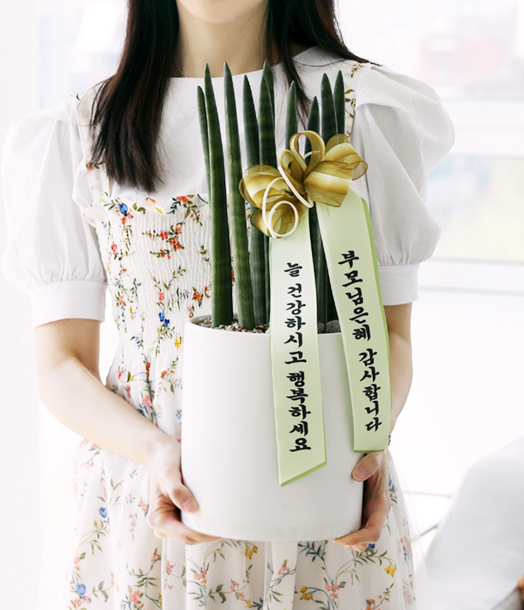 [,,ȭ⺯] ϴ   -  ȭۿ  ƩŰ  ɹ