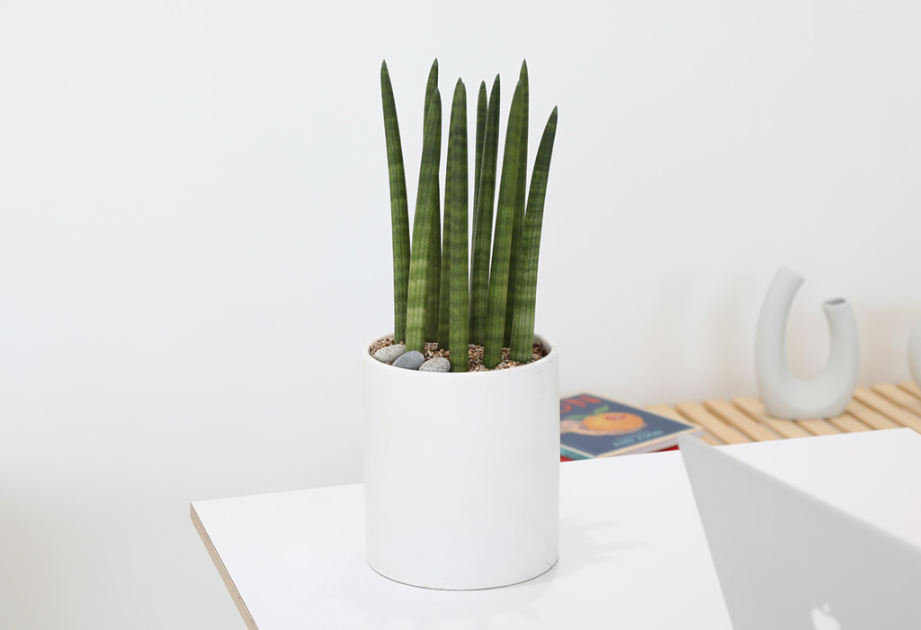 [,,ȭ⺯] ϴ   -  ȭۿ  ƩŰ  ɹ