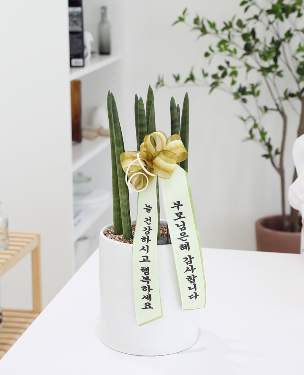 [,,ȭ⺯] ϴ   -  ȭۿ  ƩŰ  ɹ