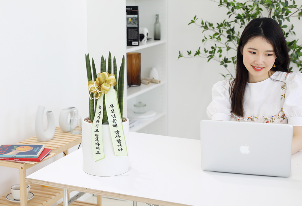 [,,ȭ⺯] ϴ   -  ȭۿ  ƩŰ  ɹ