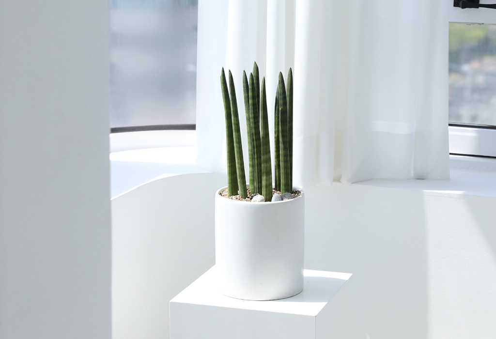 [,,ȭ⺯] ϴ   -  ȭۿ  ƩŰ  ɹ