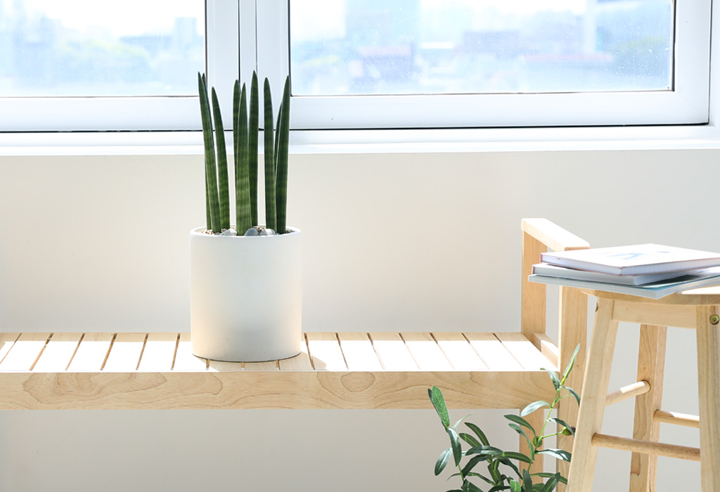 [,,ȭ⺯] ϴ   -  ȭۿ  ƩŰ  ɹ