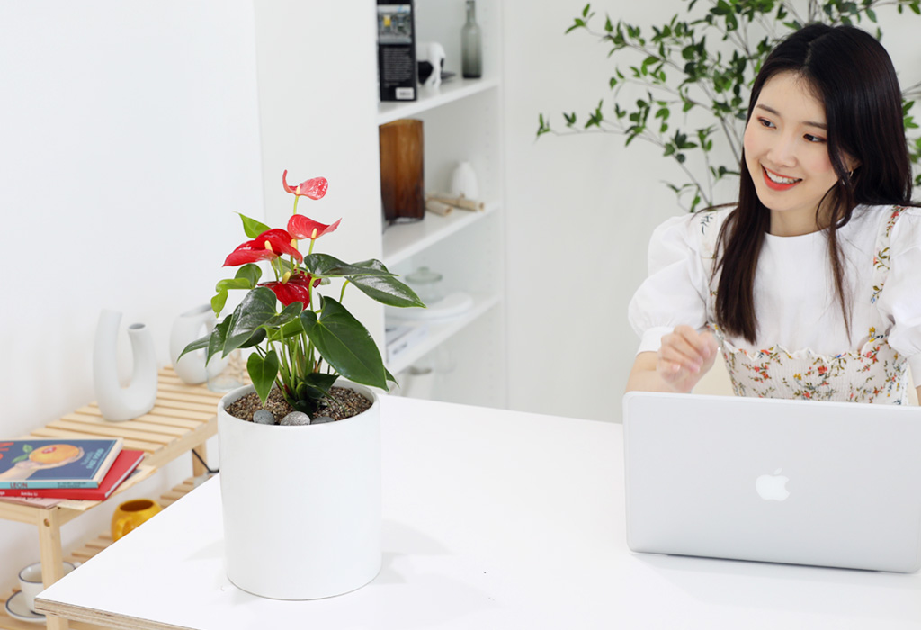 [,,ȭ⺯] ϴ   -   Ǿ ִ Ƚ