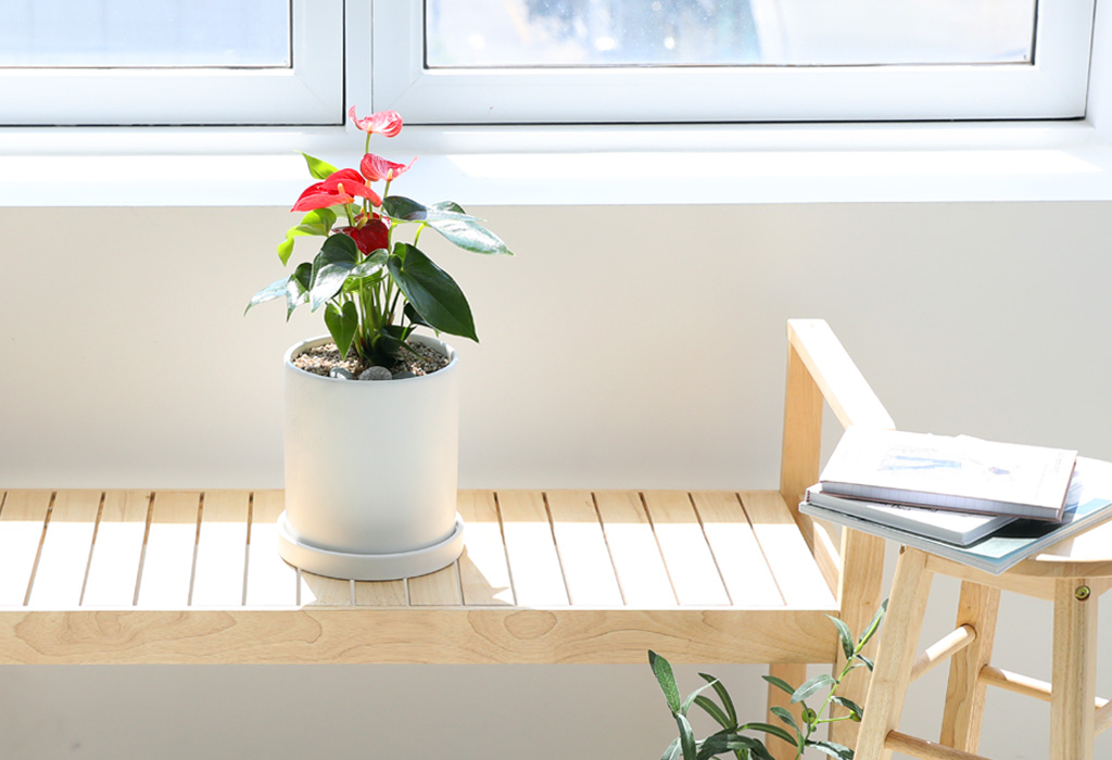 [,,ȭ⺯] ϴ   -   Ǿ ִ Ƚ