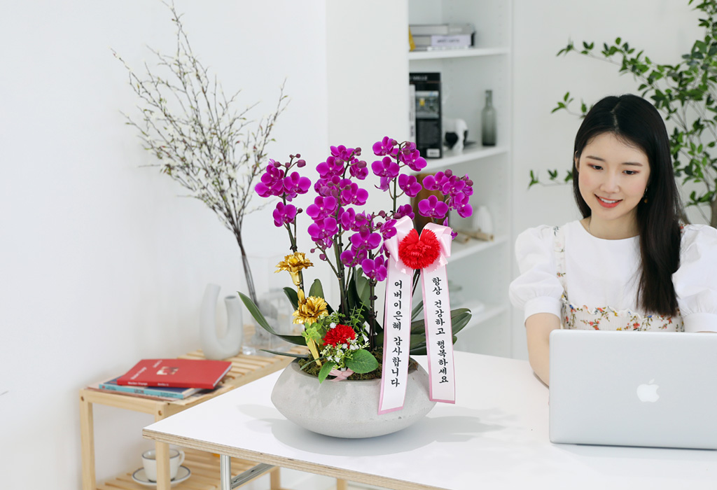 []ϴ   - ȣ ɺȫ õȫ () (ȭ⺯)  ɹ