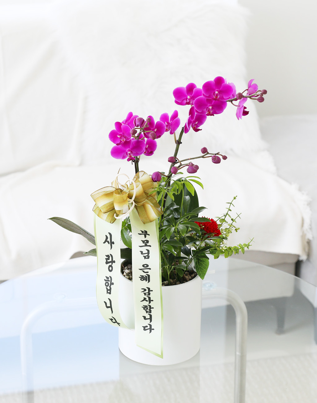 []ϴ   - ȣ ɺȫ õȫ ()  ɹ