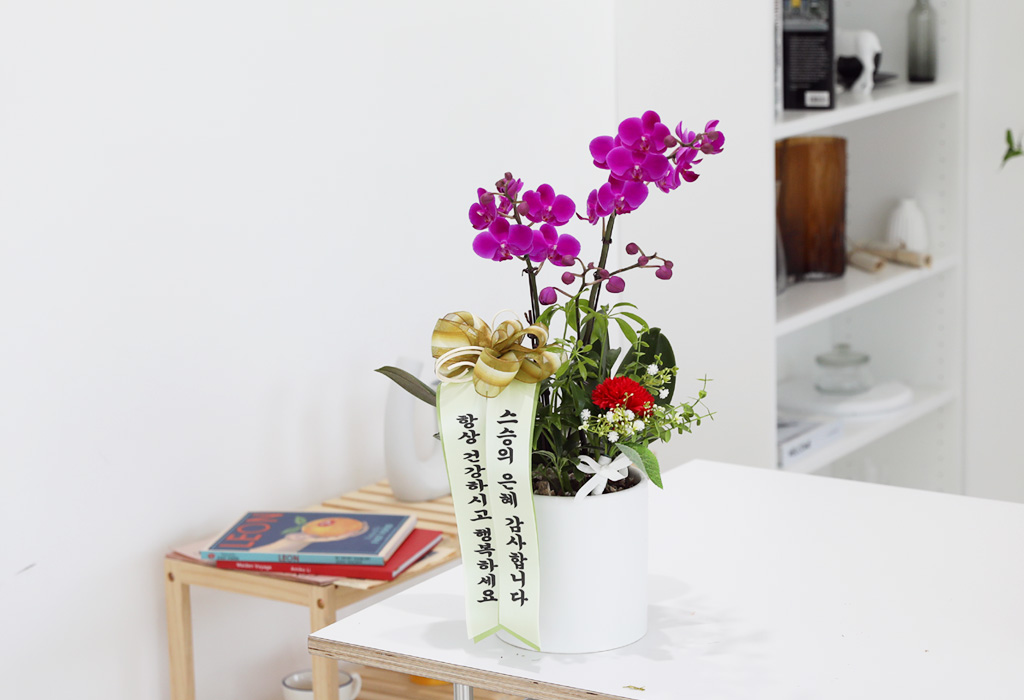 []ϴ   - ȣ ɺȫ õȫ ()  ɹ