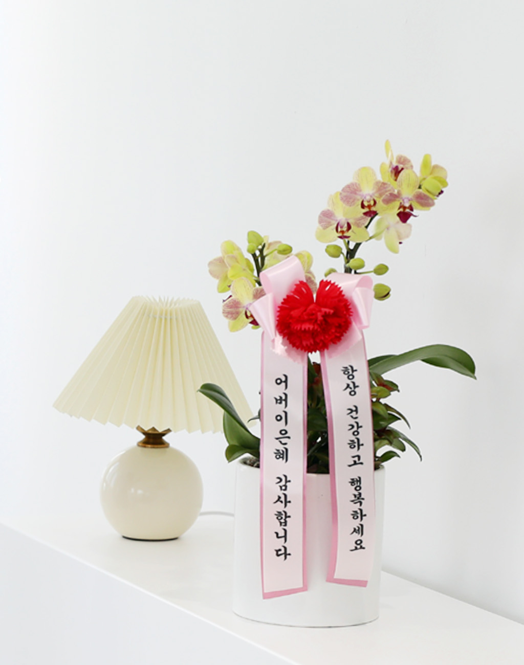 []ϴ   - ȣ  () (ȭ⺯)  ɹ