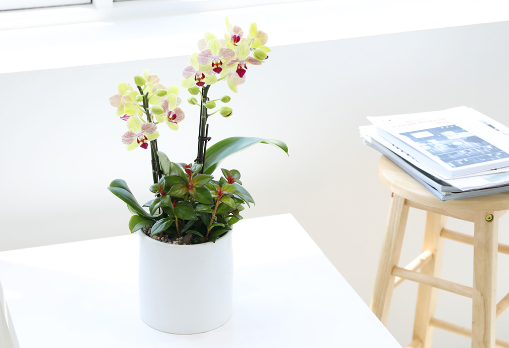 []ϴ   - ȣ  () (ȭ⺯)  ɹ