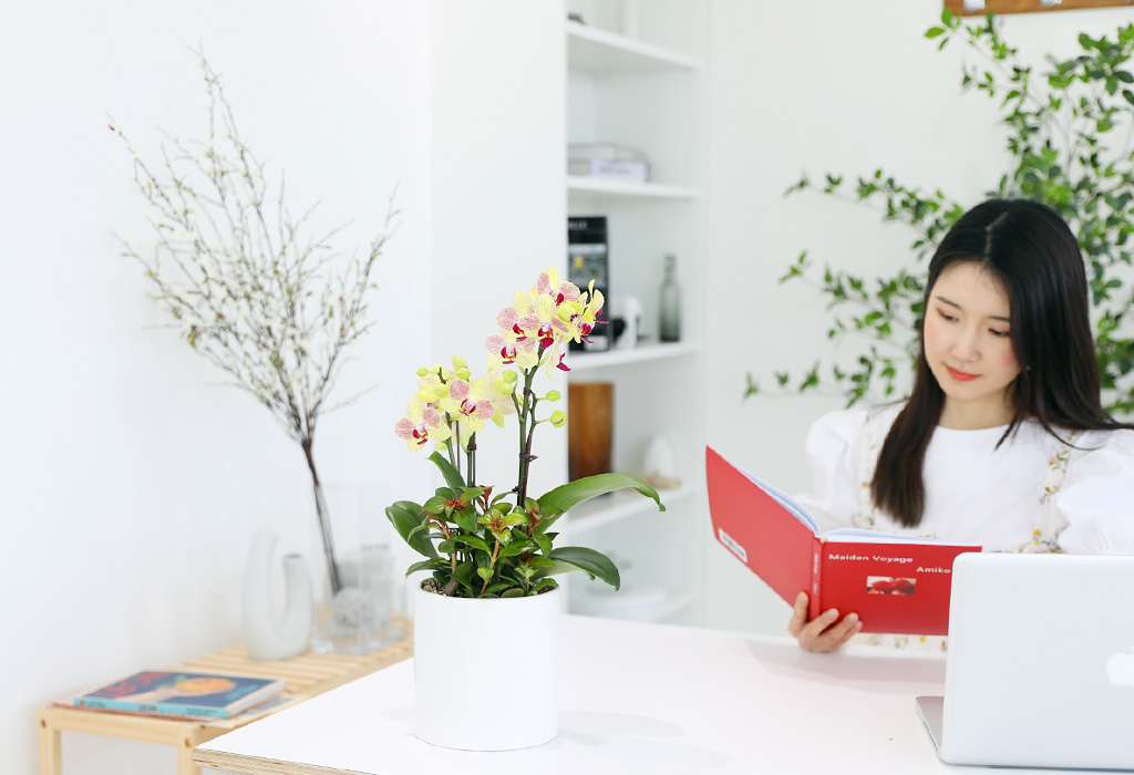 []ϴ   - ȣ  () (ȭ⺯)  ɹ