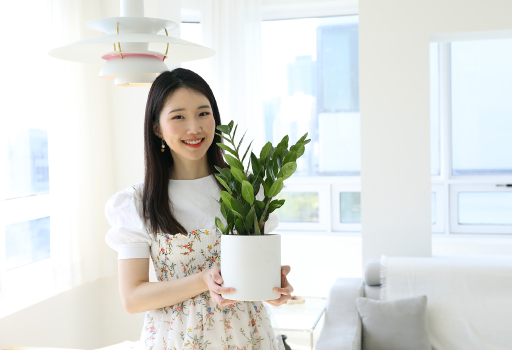 [] å   -(ȭ⺯)  ɹ