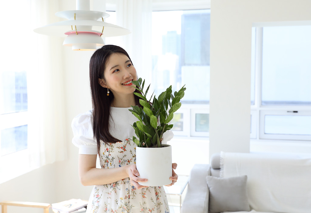 [] å   -(ȭ⺯)  ɹ