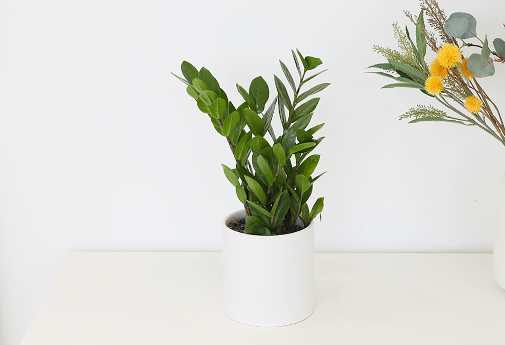 [] å   -(ȭ⺯)  ɹ