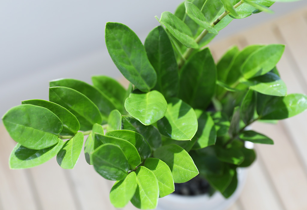 [] å   -(ȭ⺯)  ɹ