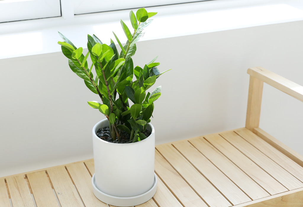 [] å   -(ȭ⺯)  ɹ