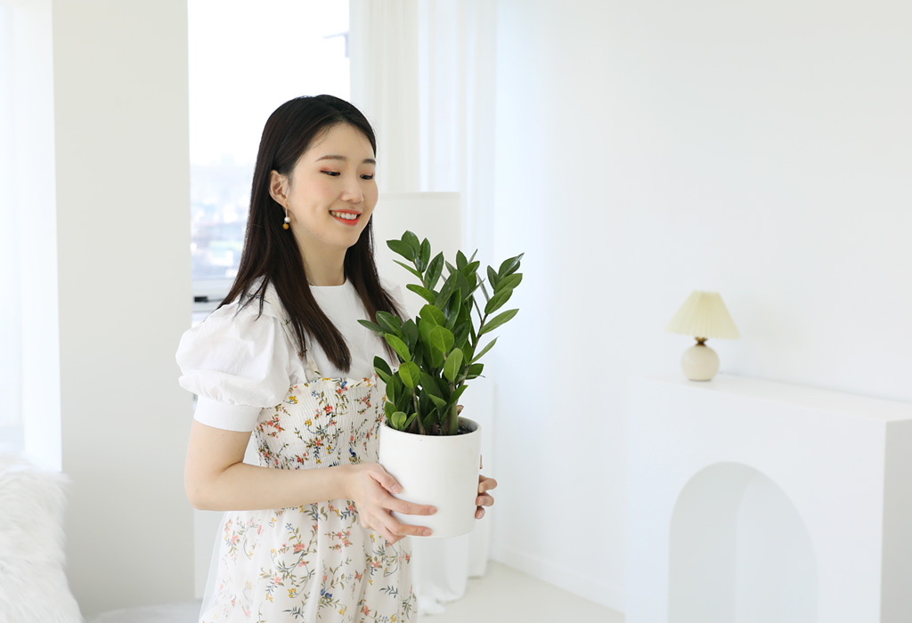 [] å   -(ȭ⺯)  ɹ