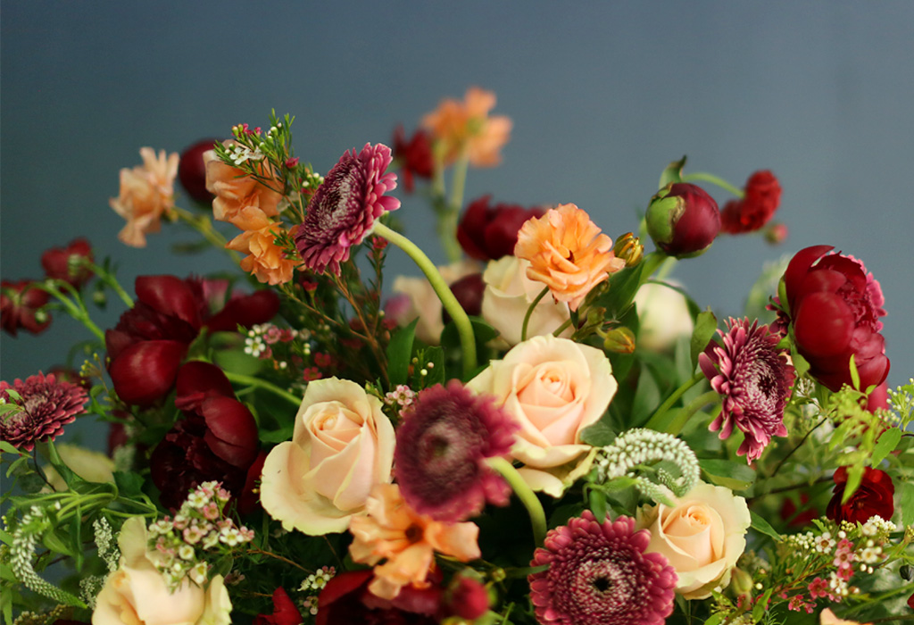 [/ Ϻ]Les Jardins de Saint paul -    潺   ɹ