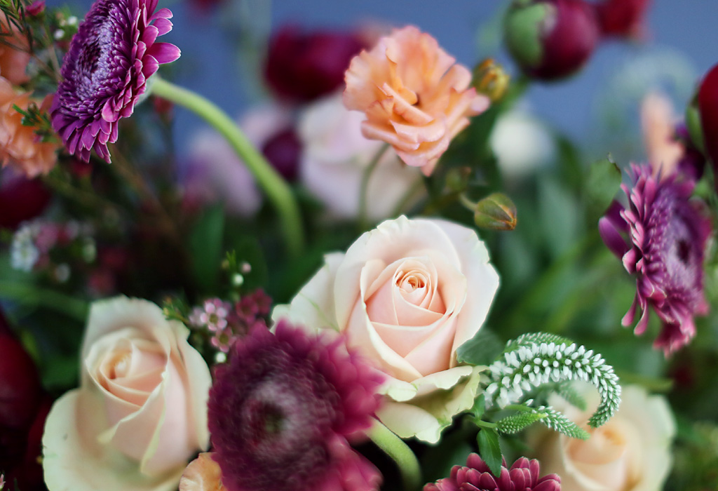 [/ Ϻ]Les Jardins de Saint paul -    潺   ɹ