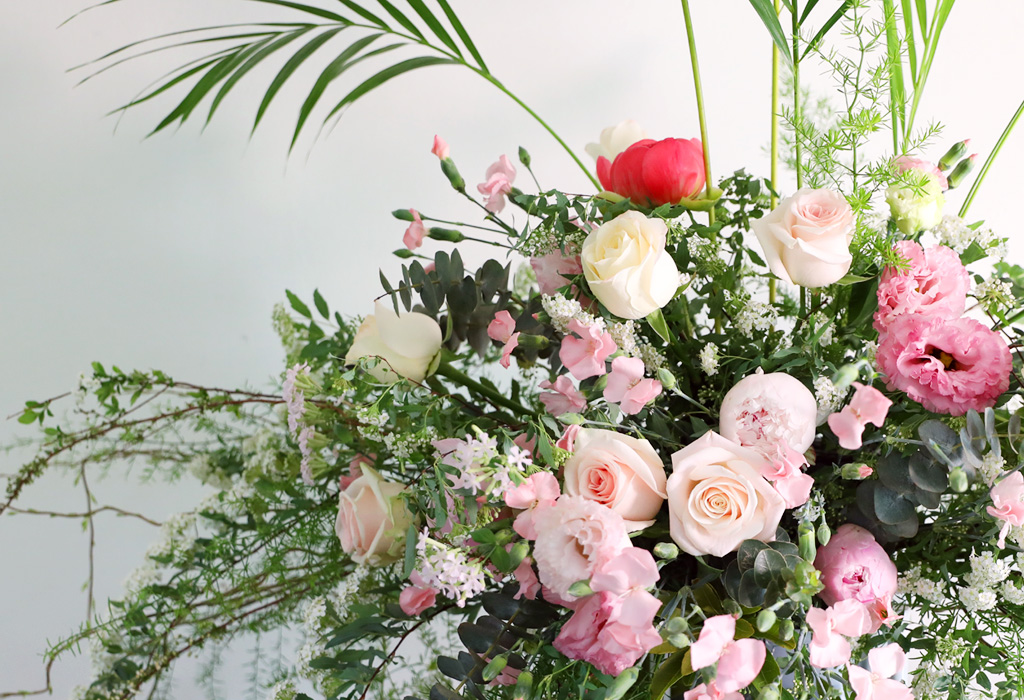 ȥ մϴ - Early Summer blossom  ɹ