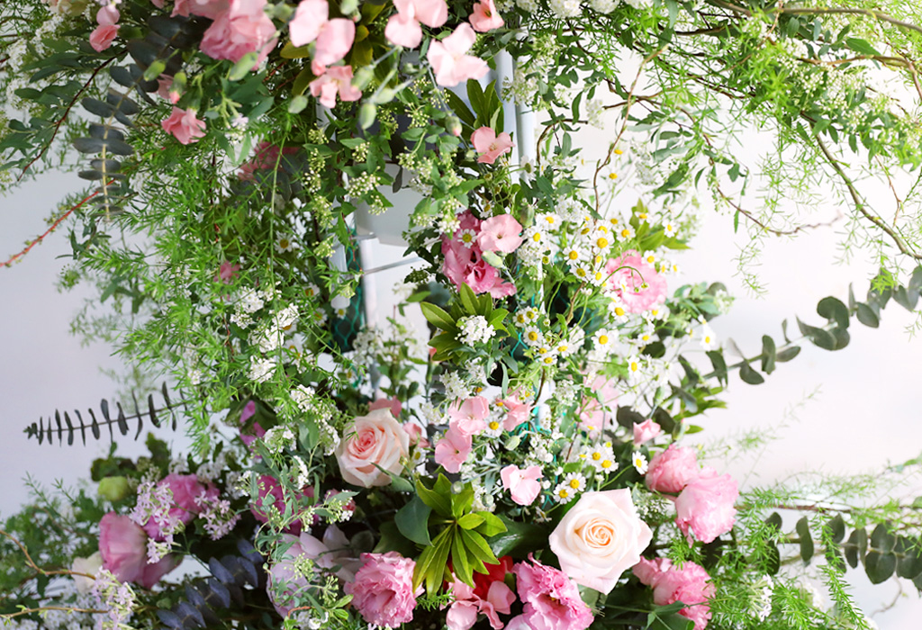 ȥ մϴ - Early Summer blossom  ɹ