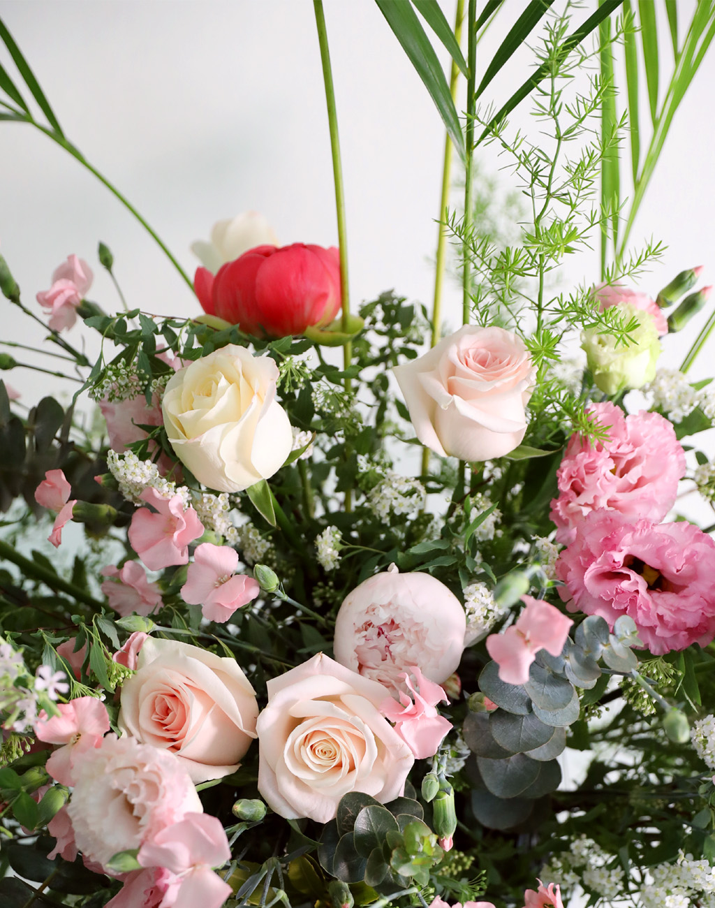 ȥ մϴ - Early Summer blossom  ɹ