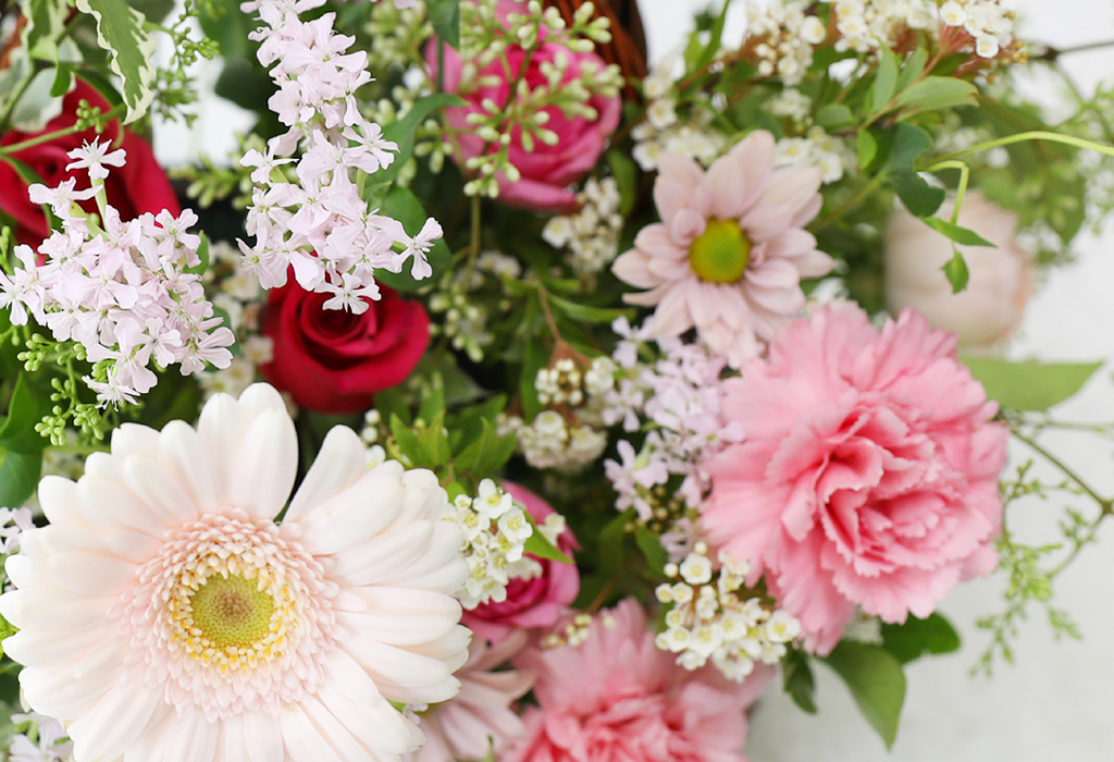 [ʺ ʿ ] - Picnic in the pink garden  ɹ