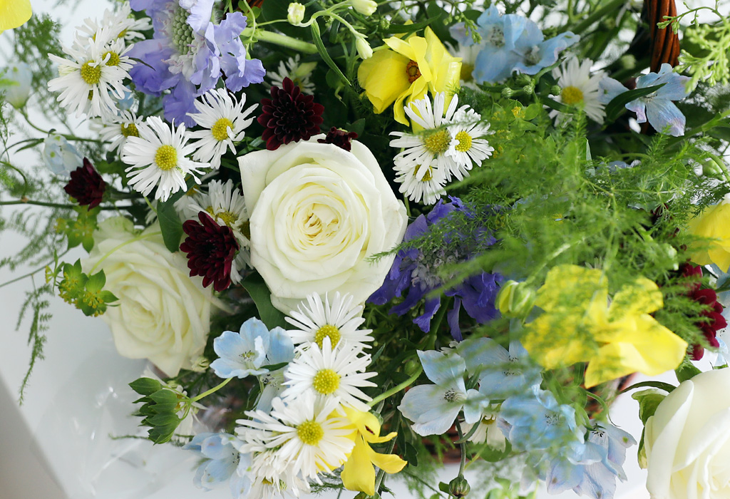 [ʺ ʿ ] - Butterfly  ɹ