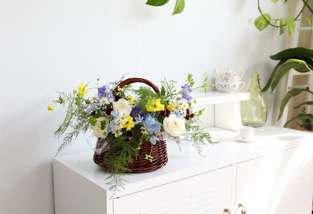 [ʺ ʿ ] - Butterfly  ɹ