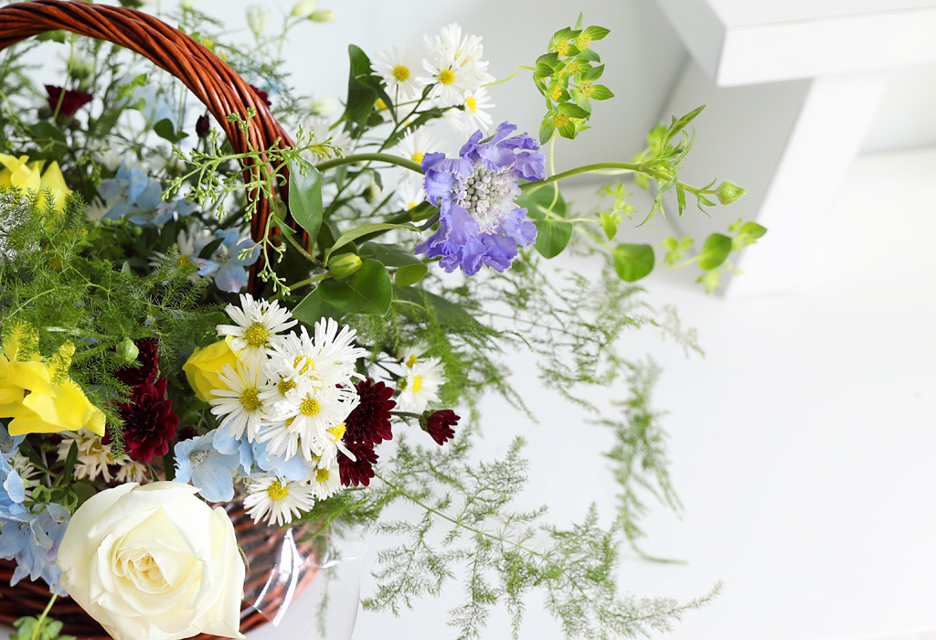 [ʺ ʿ ] - Butterfly  ɹ