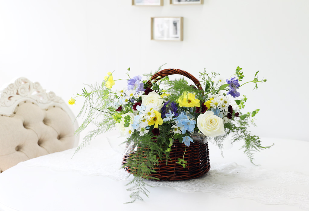 [ʺ ʿ ] - Butterfly  ɹ