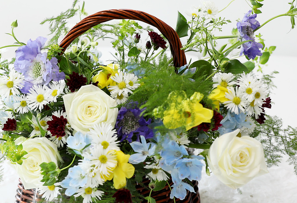 [ʺ ʿ ] - Butterfly  ɹ