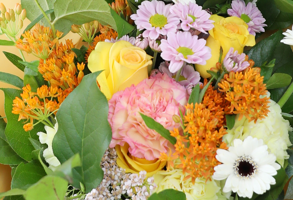 []Bunch of flowers - 6 package  ɹ