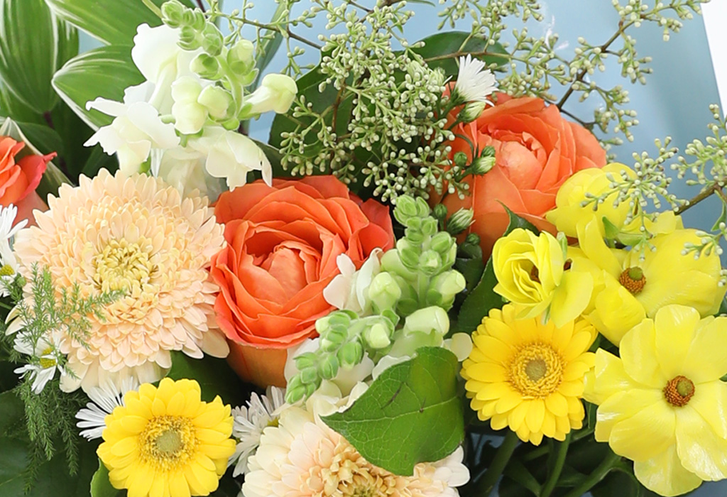 []Bunch of flowers - 6 package  ɹ