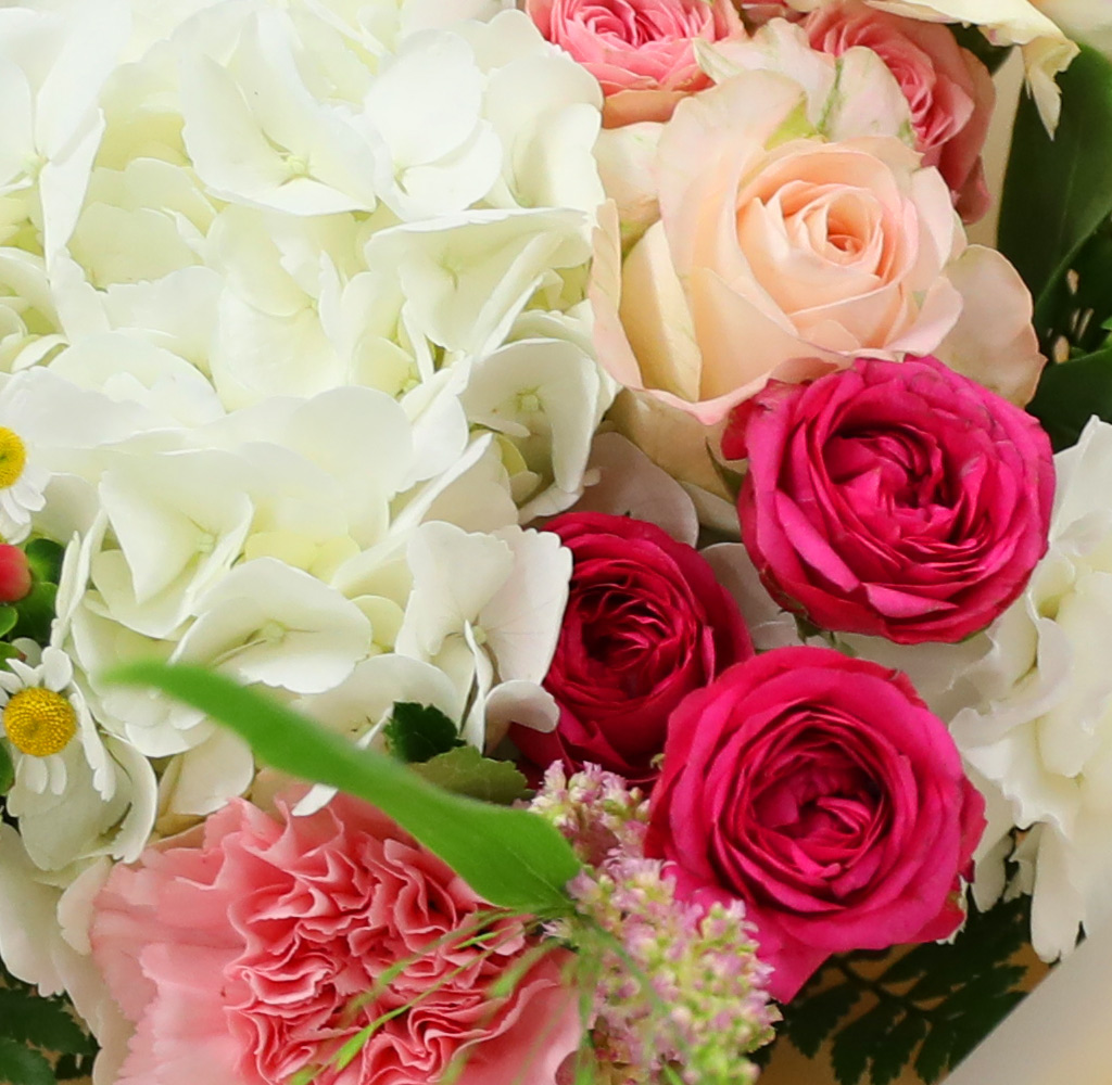 [/ǹ]Summer of love -    ɹ