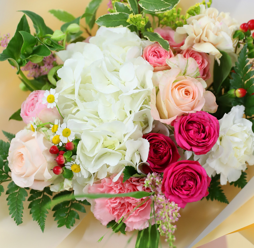 [/ǹ]Summer of love -    ɹ