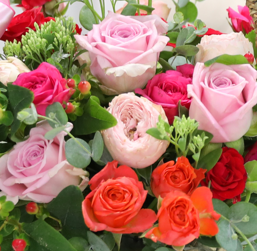 Scent of Summer - ȭ 