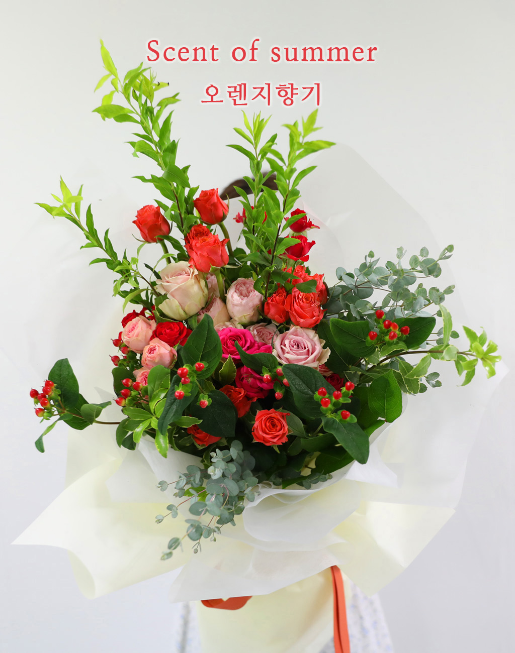 []Scent of Summer -    ɹ