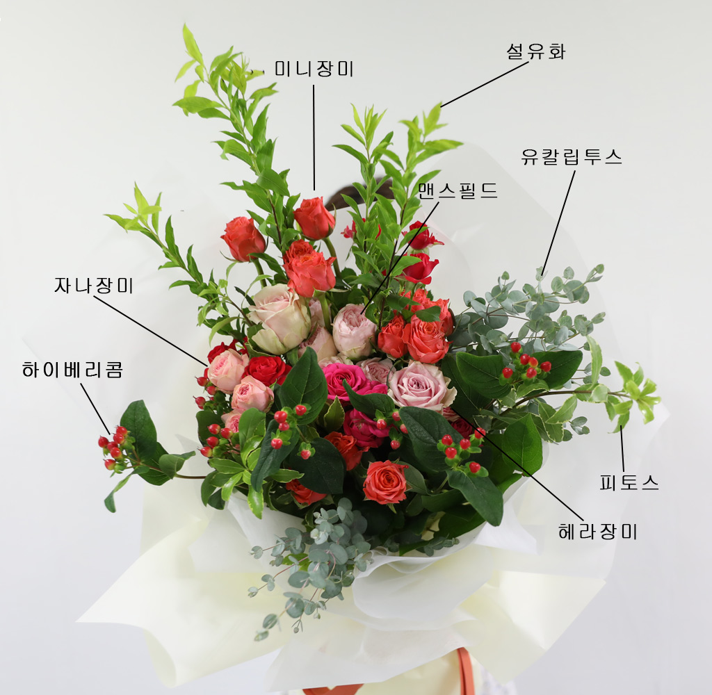 []Scent of Summer -    ɹ