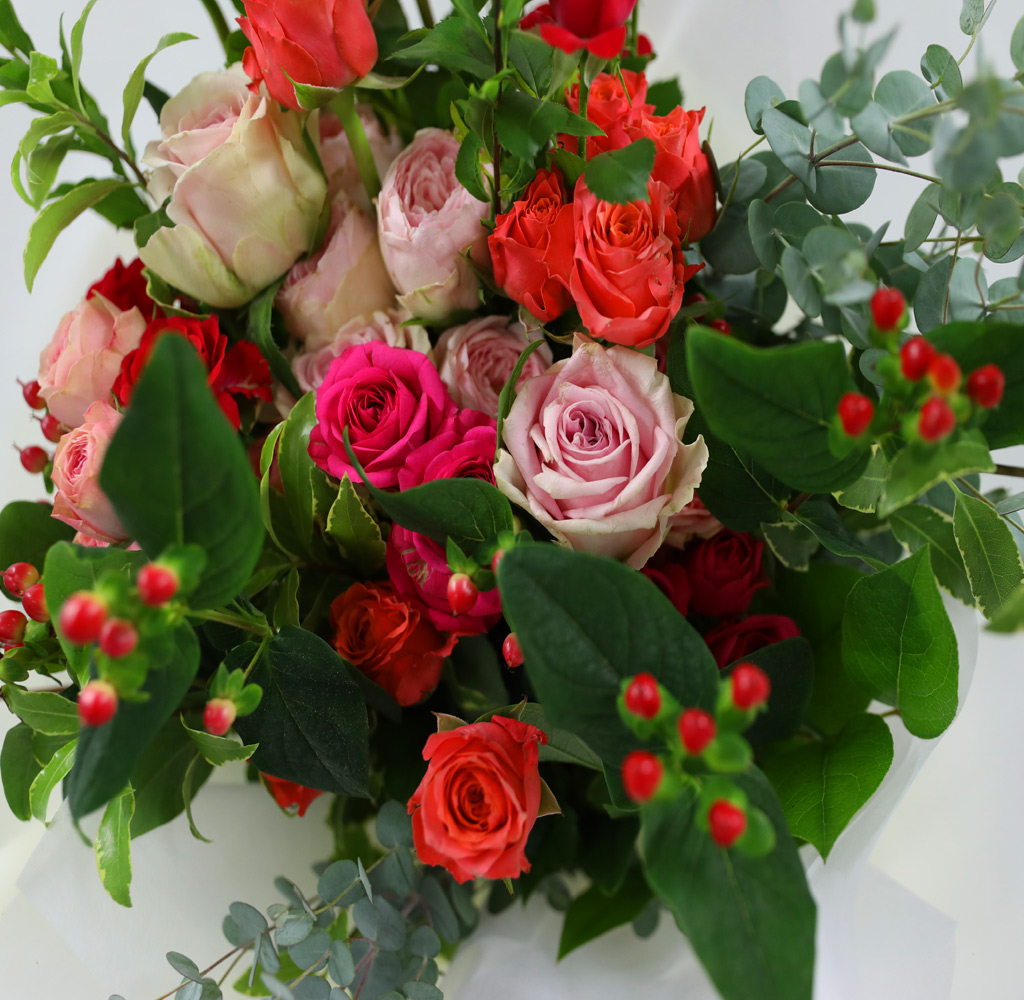 []Scent of Summer -    ɹ