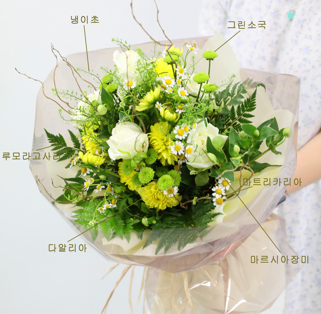 ¿©¸§À» ³ë·¡ÇÏ´Ù ²ÉÁý ²É¹è´Þ