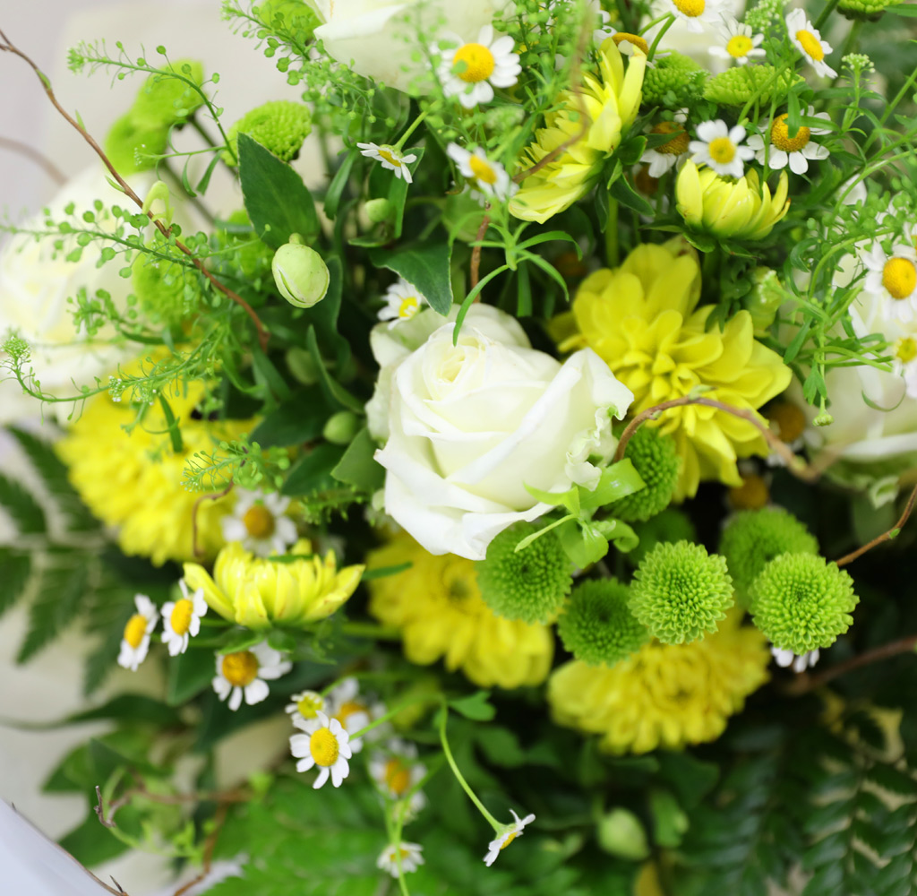 ¿©¸§À» ³ë·¡ÇÏ´Ù ²ÉÁý ²É¹è´Þ