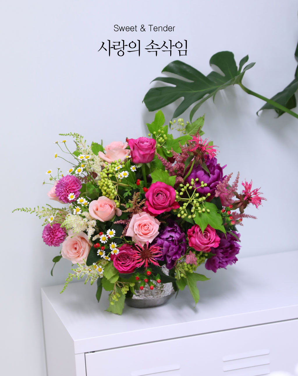 [/ǹ]Sweet & Tender -  ӻ  ɹ