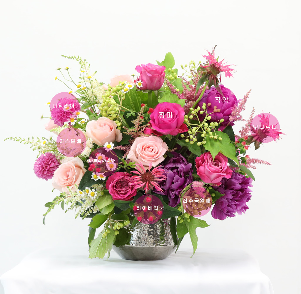 [/ǹ]Sweet & Tender -  ӻ  ɹ