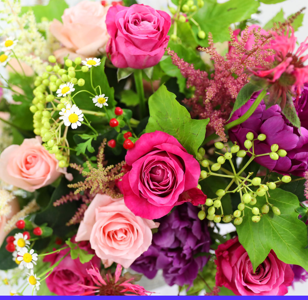 [/ǹ]Sweet & Tender -  ӻ  ɹ