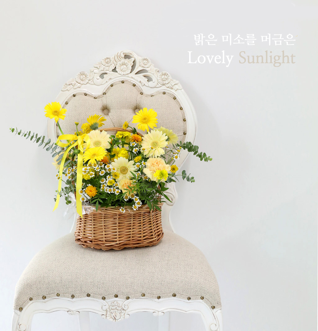 Lovely sunlight