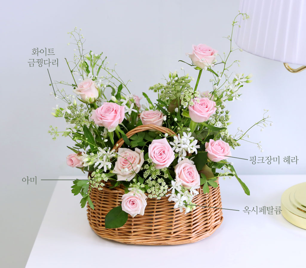 ´ç½Å¿¡°Ô ¾î¿ï¸®´Â ²É - ´ç½ÅÀ» ´àÀº Àå¹Ì ²ÉÁý ²É¹è´Þ