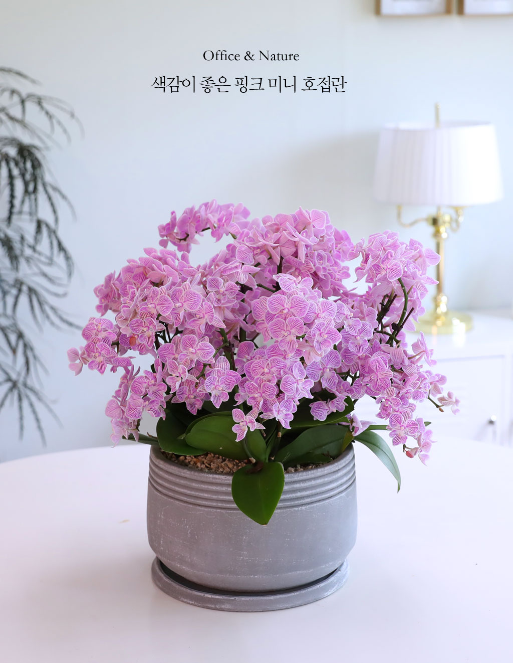 Office & Nature »ö°¨ÀÌ °í¿î ÇÎÅ© ¹Ì´ÏÈ£Á¢¶õ ²ÉÁý ²É¹è´Þ