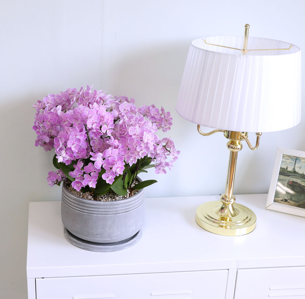 Office & Nature »ö°¨ÀÌ °í¿î ÇÎÅ© ¹Ì´ÏÈ£Á¢¶õ ²ÉÁý ²É¹è´Þ